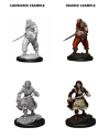 WizKids Deep Cuts: Pirates 