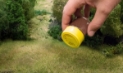 Woodland Scenics: Accent Shakers 