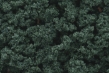 Woodland Scenics: Bushes- Dark Green (Small Bag) - WS147 WSCFC147 [724771001478]