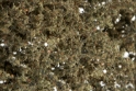 Woodland Scenics: Fine Leaf Foliage- Dead Foliage 