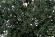 Woodland Scenics: Fine Leaf Foliage- Dark Green - WS1130 [724771011309]