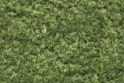 Woodland Scenics: Foliage: Light Green (60 Cubic Inch Bag)  