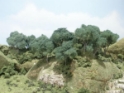 Woodland Scenics: Large Tree Kits- Hardwood Forest 