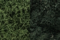 Woodland Scenics: Lichen- Dark Green Mix 