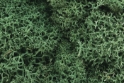 Woodland Scenics: Lichen- Light Green 