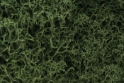 Woodland Scenics: Lichen- Medium Green 