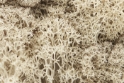 Woodland Scenics: Lichen- Natural 