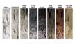 Woodland Scenics: Liquid Pigments- Earth Colors Kit - WS1215 WSCC1215  [724771012153]