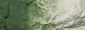 Woodland Scenics: Liquid Pigments- Green Undercoat 