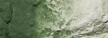 Woodland Scenics: Liquid Pigments- Green Undercoat - WS1228 [724771012283]