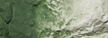 Woodland Scenics: Liquid Pigments- Green Undercoat - WS1228 [724771012283]