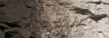 Woodland Scenics: Liquid Pigments- Raw Umber 