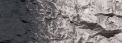 Woodland Scenics: Liquid Pigments- Slate Gray 