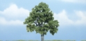Woodland Scenics: Premium Trees: Beech 