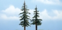Woodland Scenics: Premium Trees: Lodgepole (4"-5") 