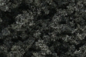 Woodland Scenics: Realistic Tree Kits: Forest Green- 24 (2 1/2" - 6") 