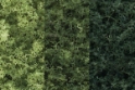 Woodland Scenics: Realistic Tree Kits: Deciduous Trees - 14 (3" - 5") 