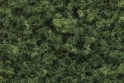 Woodland Scenics: Realistic Tree Kits: Medium Green- 21 (3/4" - 3") 