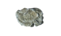 Woodland Scenics: Rock Mold- Wind 