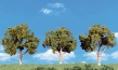 Woodland Scenics: Scene-A-Rama: 3 Deciduous Trees (4"-5") - WS4149 [724771041498]