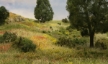 Woodland Scenics: Spray-Tac - WS645 WSCFS645 [724771006459]
