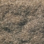 Woodland Scenics: Static Grass Flock- Burnt Grass (32oz Shaker) - WSCFL633 WS633 [724771006336]