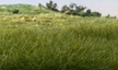 Woodland Scenics: Static Grass- Dark Green 12mm (28g) - WS625 WSCFS625 [724771006251]