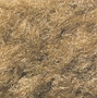 Woodland Scenics: Static Grass Flock- Harvest Gold (32oz Shaker) - WS632 WSCFL632 [724771006329]