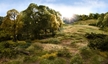 Woodland Scenics: Static Grass- Medium Green 2mm (70g) - WS614 WSCFS614 [724771006145]