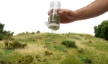 Woodland Scenics: Static Grass Starter Kit - WS647 WSCFS647 [724771006473]