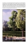 Woodland Scenics: The Scenery Manual - WS1207 [9781887436007]