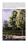 Woodland Scenics: The Scenery Manual - WS1207 [9781887436007]