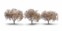 Woodland Scenics: Woodland Classics: Cherry Blossoms (2.3 - 3.3) 