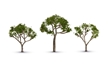 Woodland Scenics: Woodland Classics: Gum Trees (2.5" - 3.5") - WS3525 TR3525 []