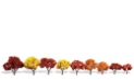 Woodland Scenics: Woodland Classics: Harvest Blaze- 6 Trees (3-5") 