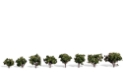 Woodland Scenics: Woodland Classics: Sun Kissed- 2 Trees (5" - 6") 