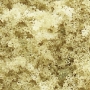 Woodland Scenics: Coarse Turf- Yellow Grass (Small Bag) - WS61 WSCT61 [724771000617]