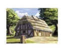 Zvezda Terrain: European Thatched Country House 