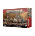 Warhammer Age of Sigmar: Maggotkin of Nurgle: Putrid Blightkings 